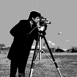 Test image "Cameraman" with 2 BPP grayscale palette using direct color mapping