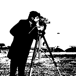 Test image "Cameraman" with black and white palette